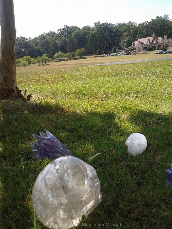 In diesem Reisebericht liegt ein Kristallschädel im Gras neben einem Baum.