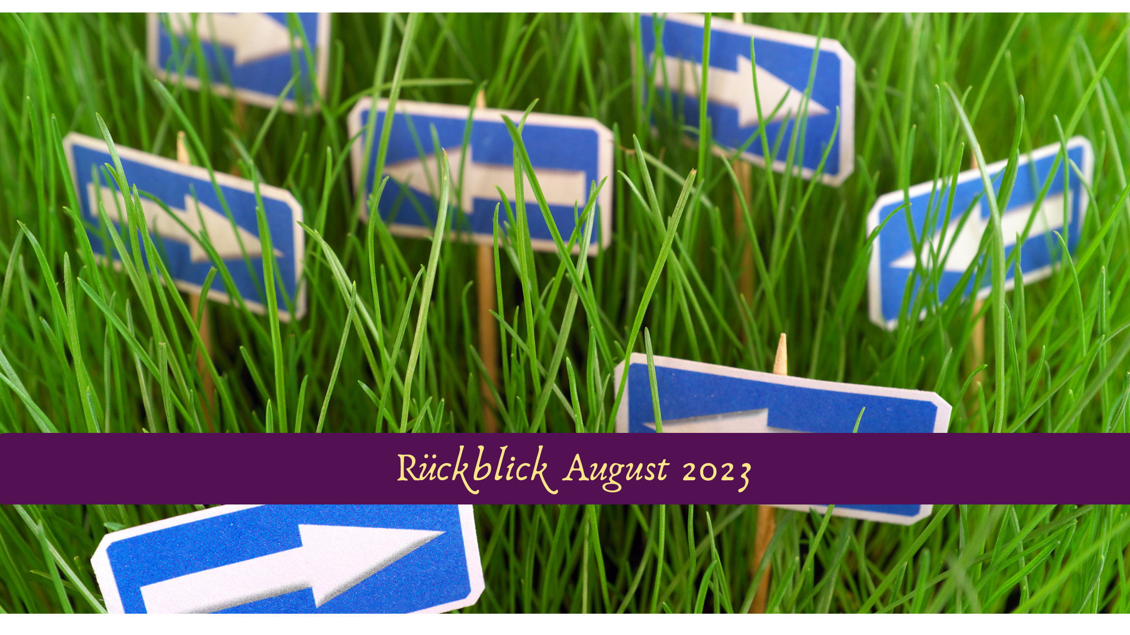 You are currently viewing Rückblick August 2023