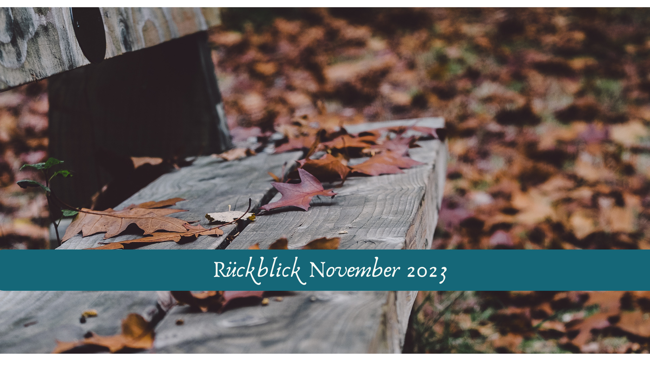 You are currently viewing Rückblick November 2023